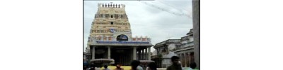 59. திருஎவ்வுள் 